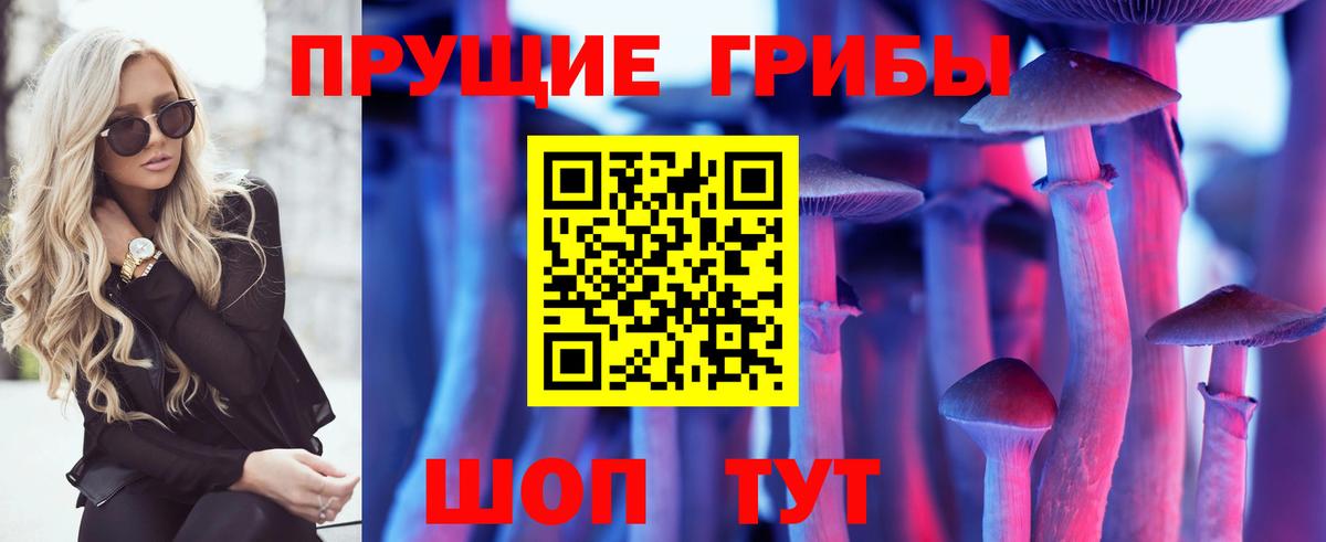Мончегорск  где можно купить   Вход с VPN  Псилоцибиновые грибы мухоморы 